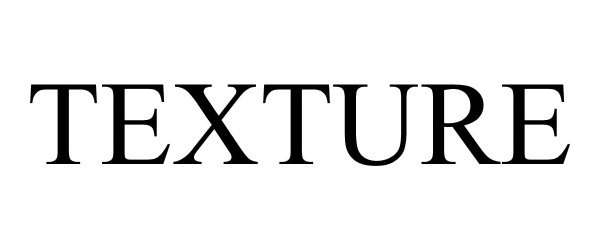 Trademark Logo TEXTURE