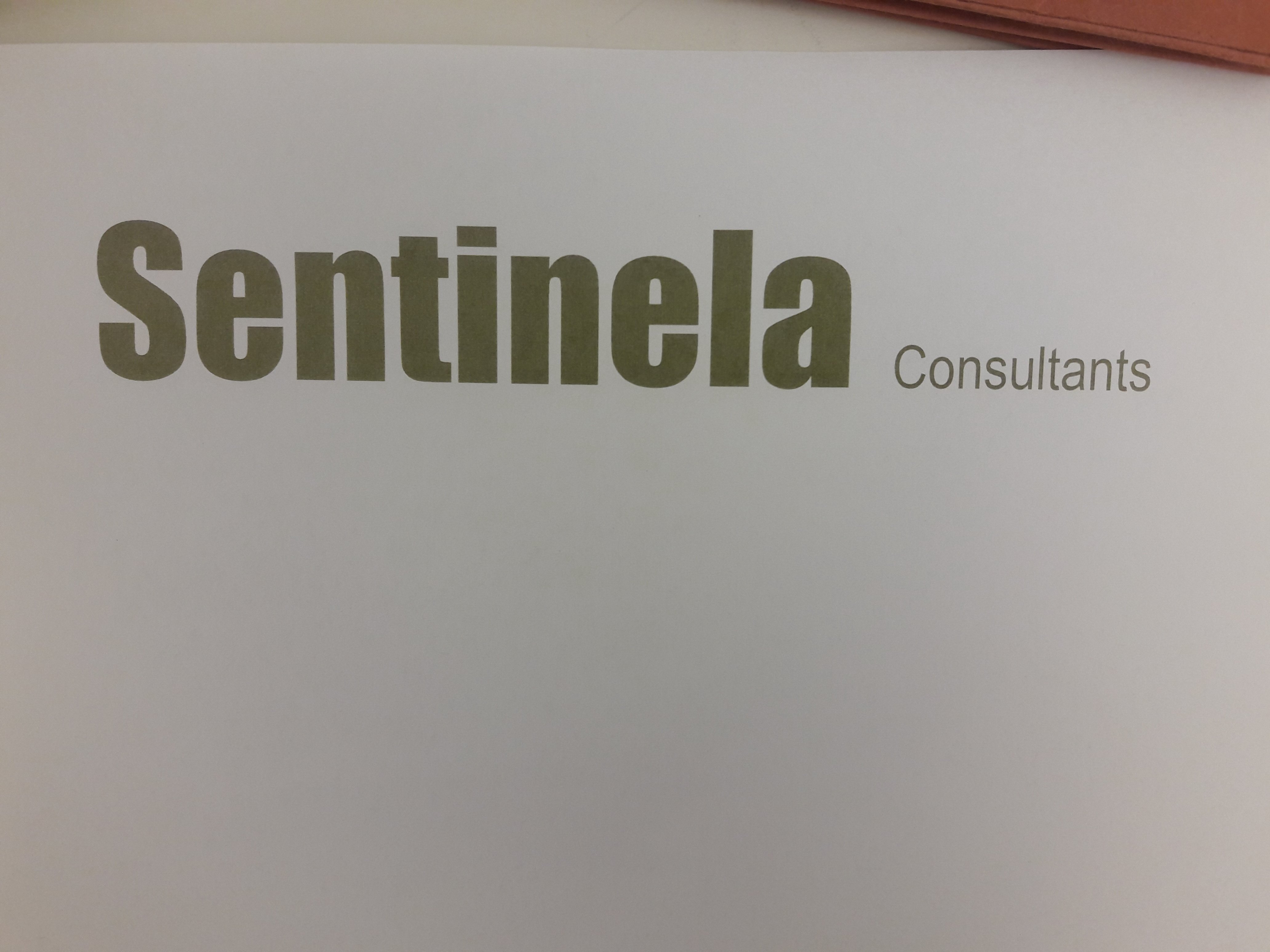  SENTINELA CONSULTANTS