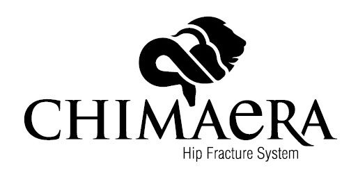 CHIMAERA HIP FRACTURE SYSTEM
