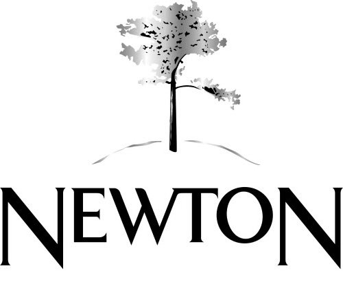 Trademark Logo NEWTON