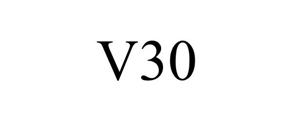 Trademark Logo V30