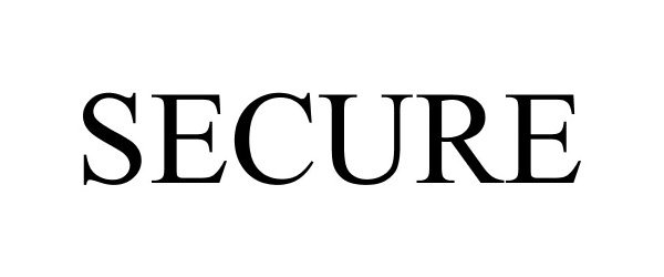 Trademark Logo SECURE