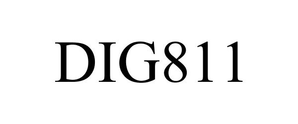 Trademark Logo DIG811