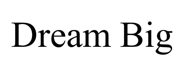 Trademark Logo DREAM BIG