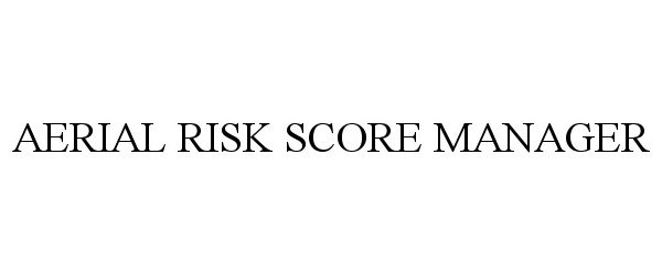  AERIAL RISK SCORE MANAGER