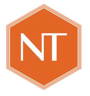 Trademark Logo NT