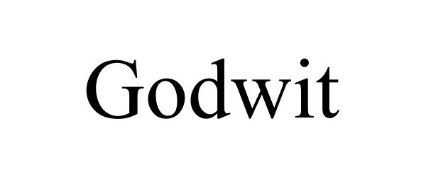Trademark Logo GODWIT