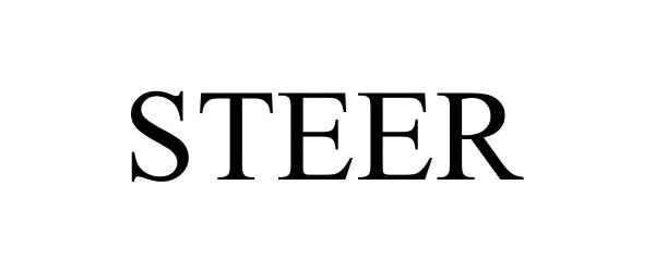 Trademark Logo STEER