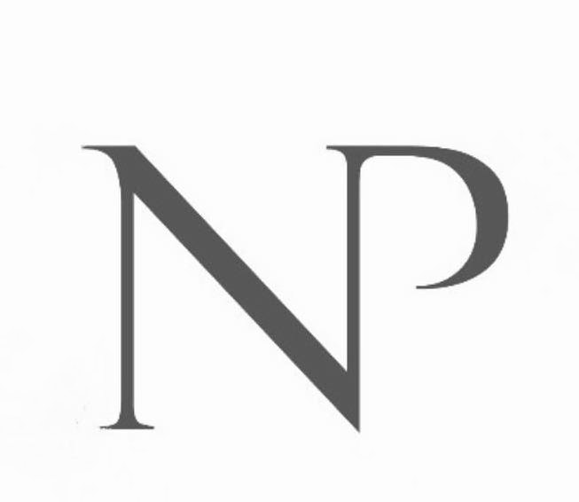 Trademark Logo NP