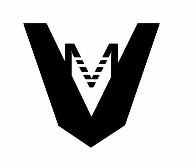 Trademark Logo VM