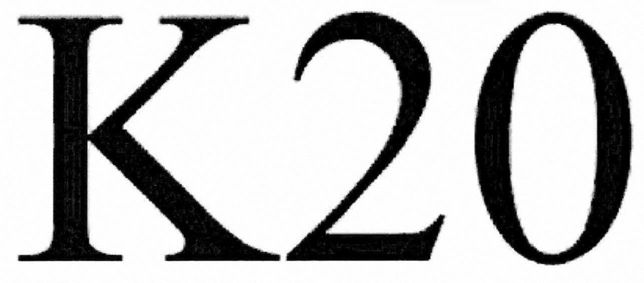  K20