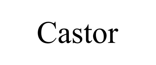 Trademark Logo CASTOR