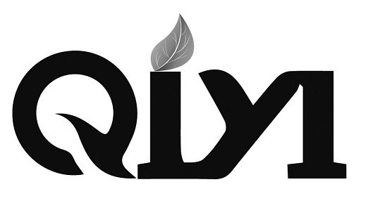 Trademark Logo QIYI