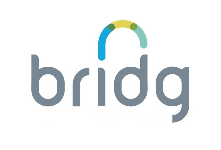  BRIDG