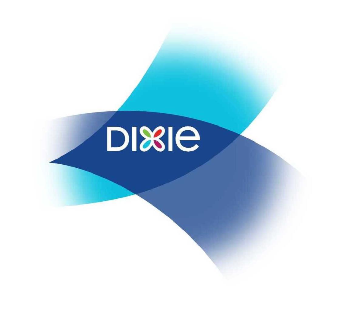 Trademark Logo DIXIE