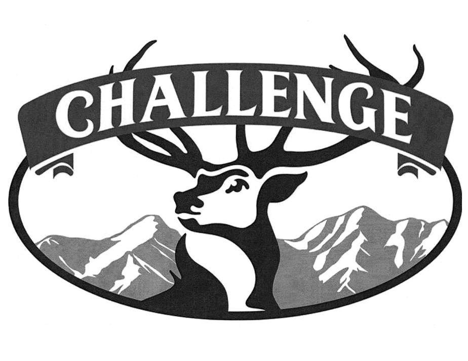 Trademark Logo CHALLENGE