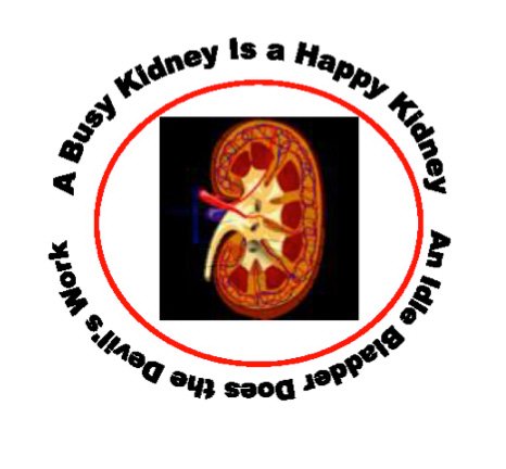  A BUSY KIDNEY IS A HAPPY KIDNEY AN IDLEBLADDER DOES THE DEVIL'S WORK