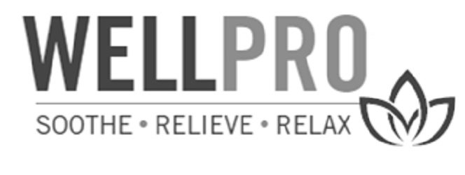 Trademark Logo WELLPRO SOOTHE RELIEVE RELAX