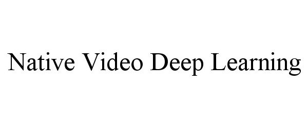  NATIVE VIDEO DEEP LEARNING