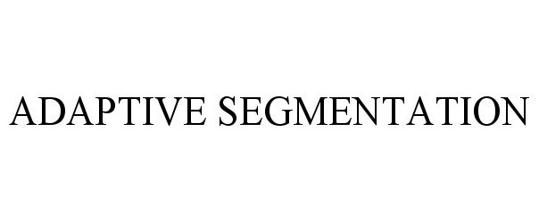  ADAPTIVE SEGMENTATION