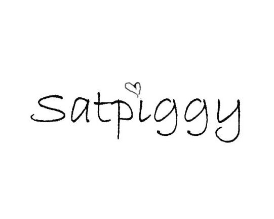  SATPIGGY