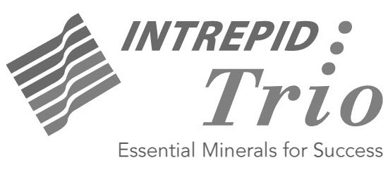  INTREPID TRIO ESSENTIAL MINERALS FOR SUCCESS