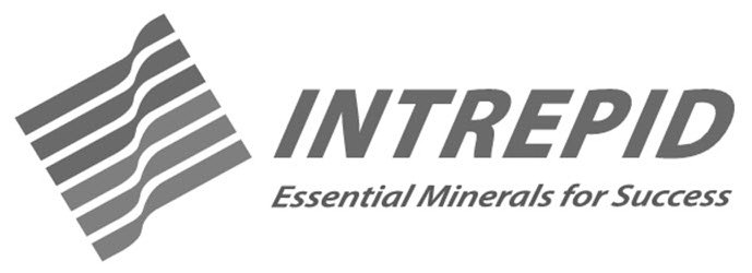 Trademark Logo INTREPID ESSENTIAL MINERALS FOR SUCCESS