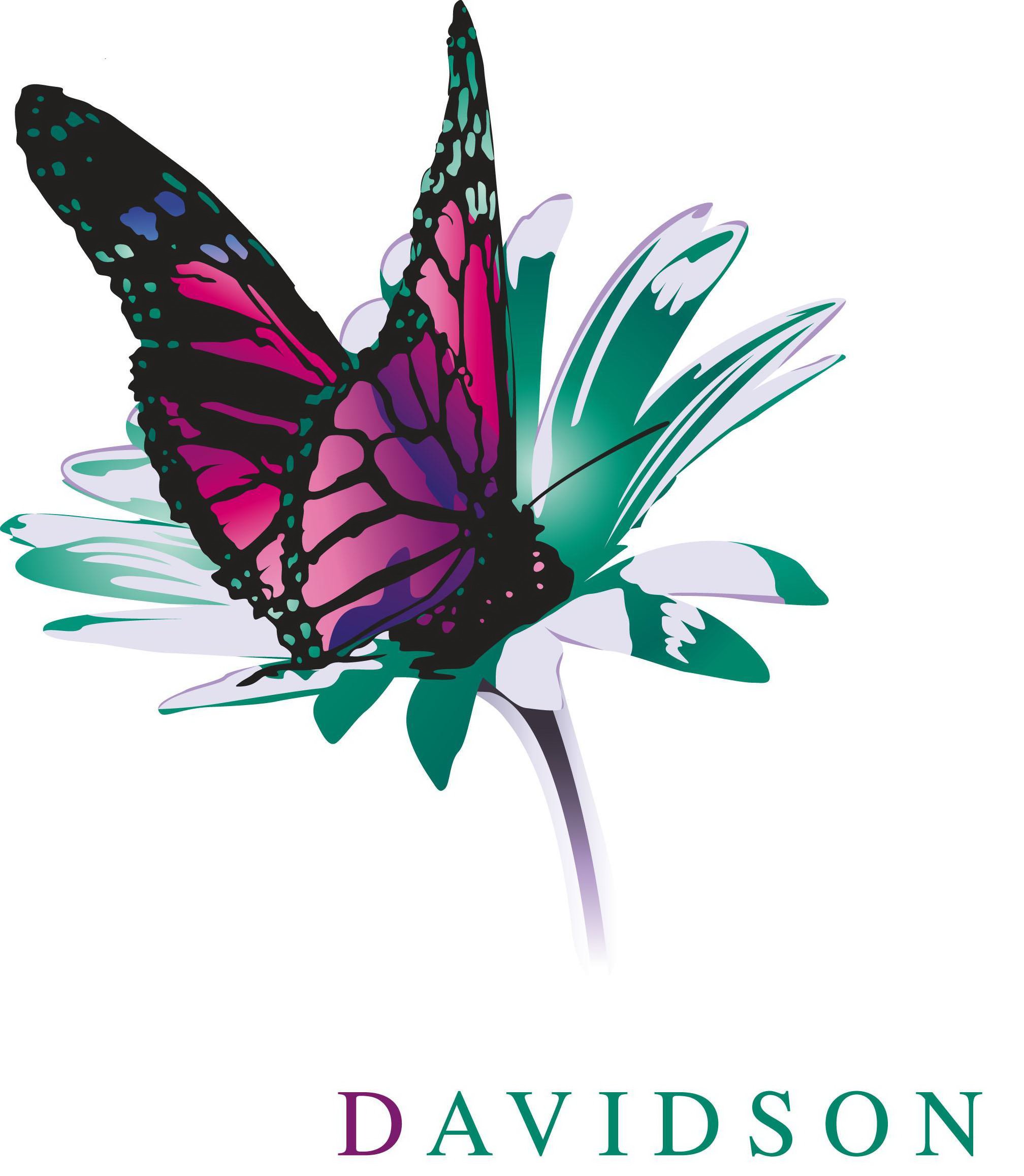 Trademark Logo DAVIDSON