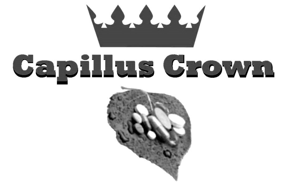 CAPILLUS CROWN