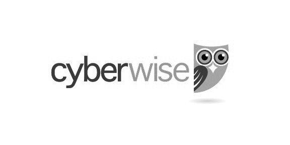 CYBERWISE