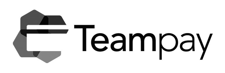  TEAMPAY