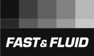  FAST &amp; FLUID