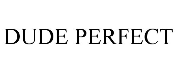  DUDE PERFECT
