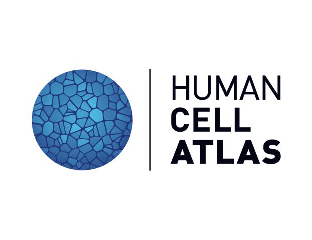 Trademark Logo HUMAN CELL ATLAS