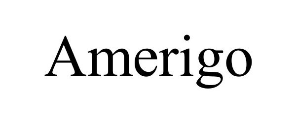 Trademark Logo AMERIGO