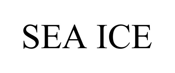  SEA ICE