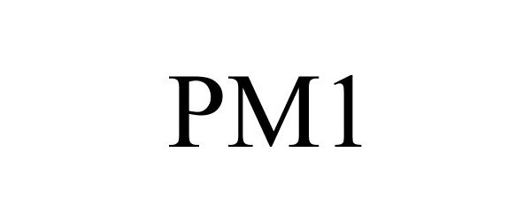  PM1