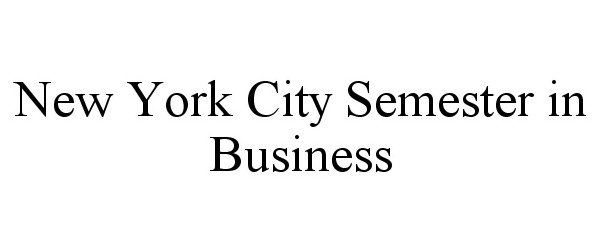  NEW YORK CITY SEMESTER IN BUSINESS