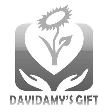  DAVIDAMY'S GIFT