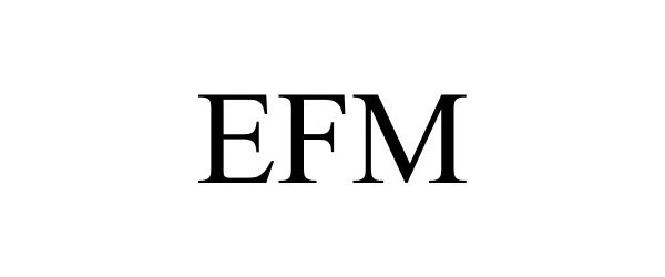  EFM