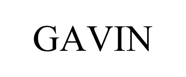Trademark Logo GAVIN