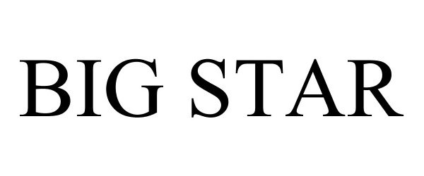 Trademark Logo BIG STAR