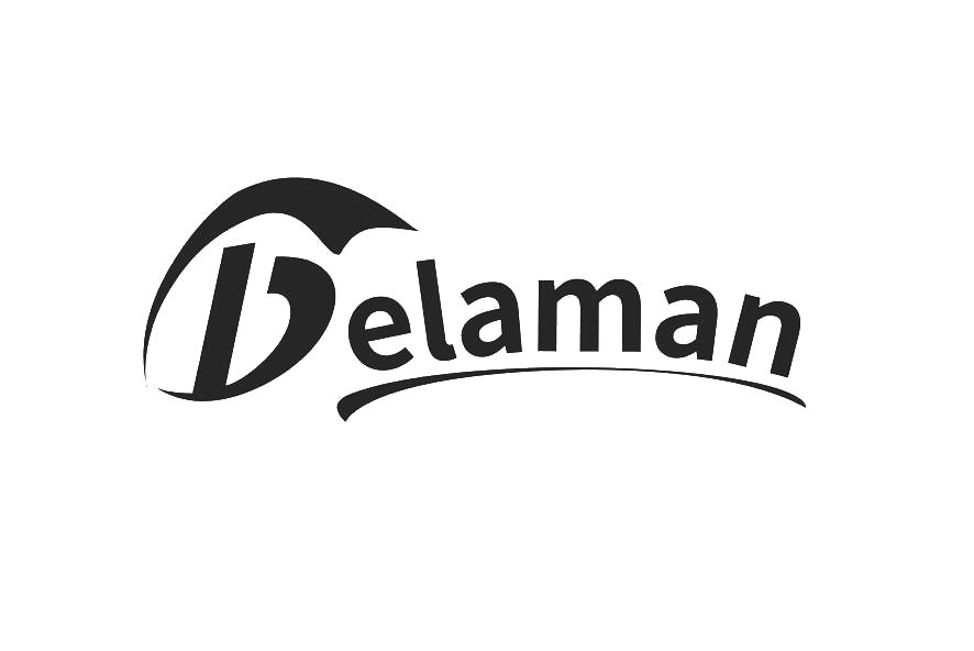 Trademark Logo DELAMAN