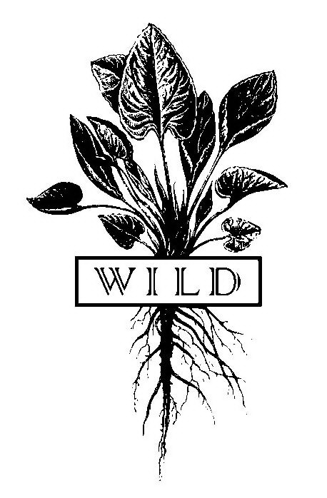 Trademark Logo WILD