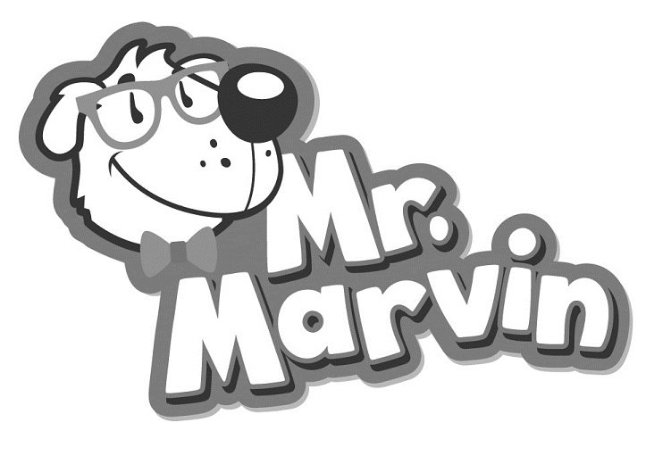Trademark Logo MR. MARVIN