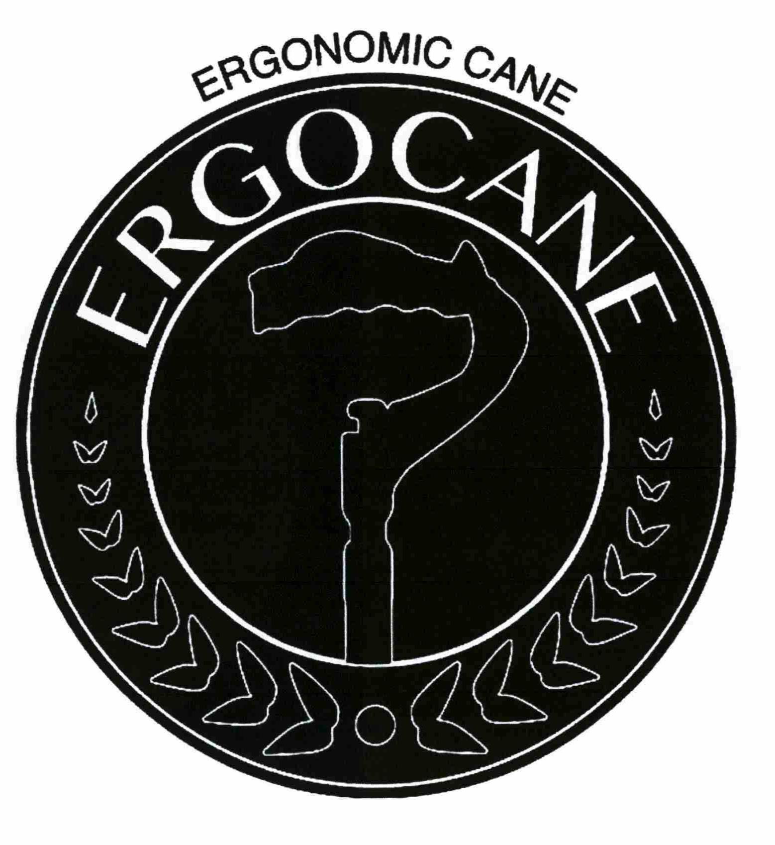  ERGONOMIC CANE ERGOCANE