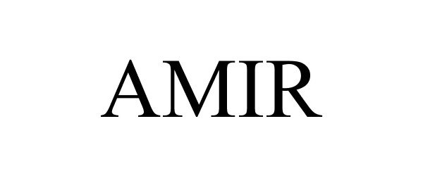 Trademark Logo AMIR