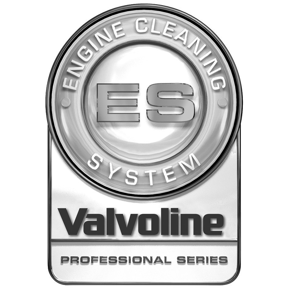 ES ENGINE CLEANING SYSTEM VALVOLINE PROFESSIONAL SERIES
