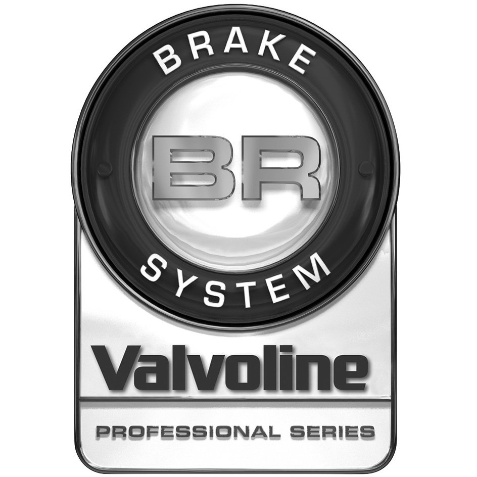 Trademark Logo BR BRAKE SYSTEM VALVOLINE PROFESSIONAL SERIES