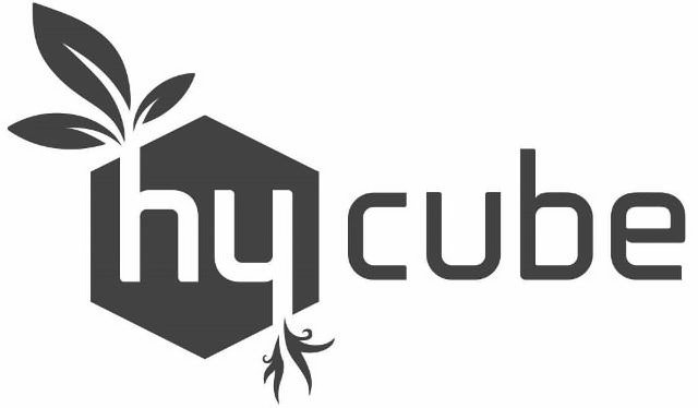  HY CUBE